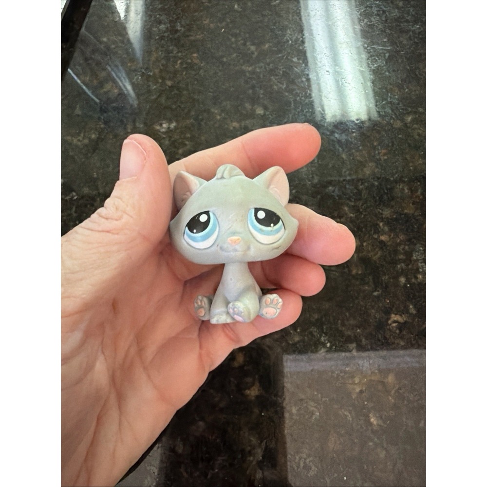 Littlest Pet Shop Authentic LPS #177 BonBon Cat Gray Tabby Kitten Blue Eyes